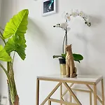 Lägenhet Fiorella's Oasis Cannes