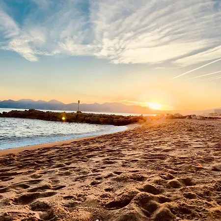 Fiorella's Oasis * Канны