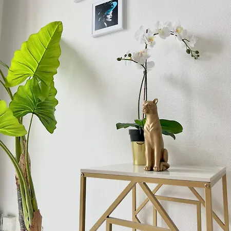 Apartment Fiorella's Oasis Cannes