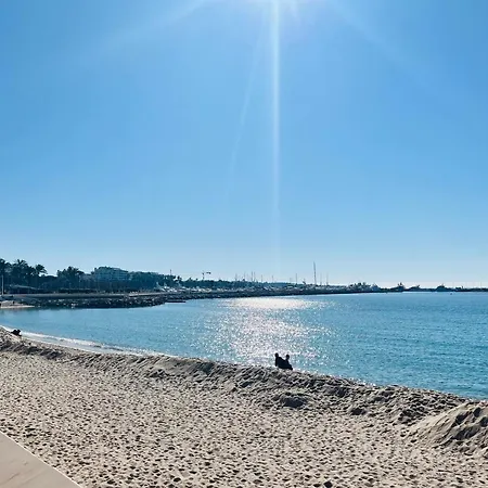 Fiorella's Oasis